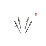 INOX RIVETS